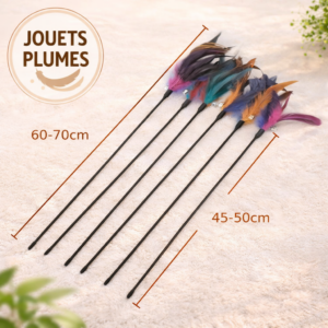 Canne à chat avec plumes