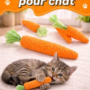 ouet pour chat en forme de carotte – sisal